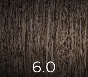 PPD & Ammonia Free Color 6.0 100ml