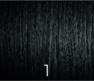 [VERSUM1] VERSUM PPD FREE 100ml 1