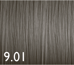 COLOR GENUS 9.01