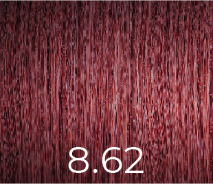 Ppd Free Color 8.62 100ml