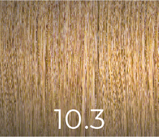 PPD & Ammonia Free Color 10.3 100ml