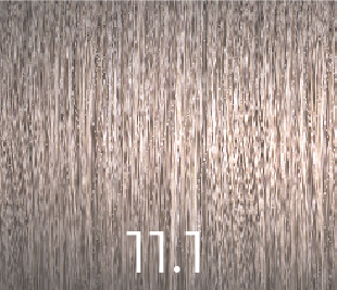 VERSUM COLOR SIN AMONIACO 11.1