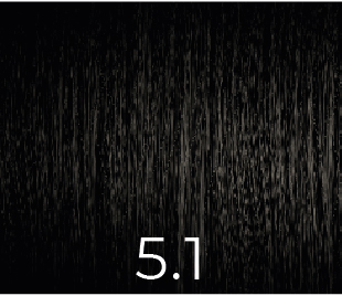 VERSUM COLOR SIN AMONIACO 5.1