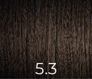 VERSUM COLOR SIN AMONIACO 5.3