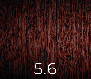 VERSUM COLOR SIN AMONIACO 5.6