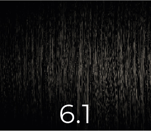 VERSUM COLOR SIN AMONIACO 6.1