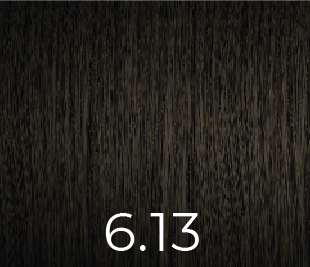 VERSUM COLOR SIN AMONIACO 6.13