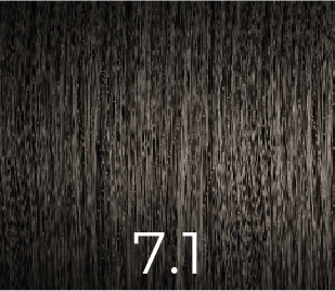 VERSUM COLOR SIN AMONIACO 7.1