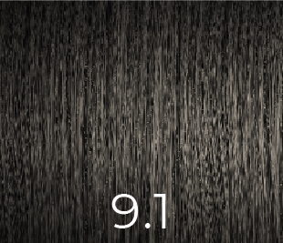 VERSUM COLOR SIN AMONIACO 9.1