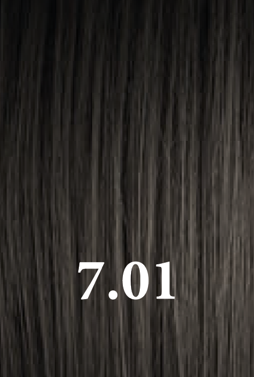 Color Maxylook 6.01 100 ml. (copia)