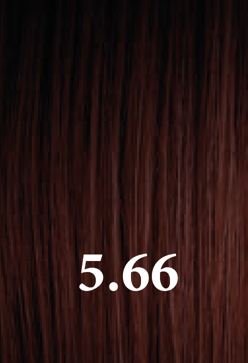 Color Maxylook R66 100 ml. (copia)