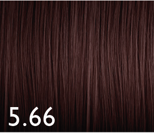 [GENUS067] COLOR GENUS 5.66