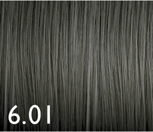 [GENUS017] COLOR GENUS 6.01