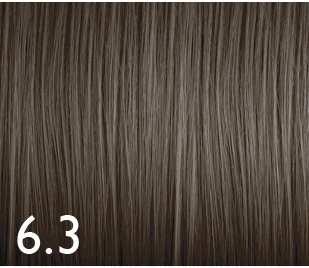 [GENUS040] COLOR GENUS 6.3