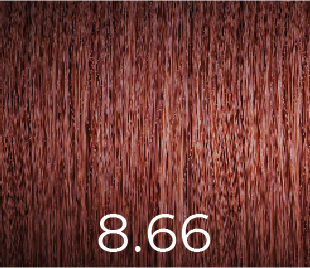 [VERSUM866] VERSUM PPD FREE 100 ML 8.66