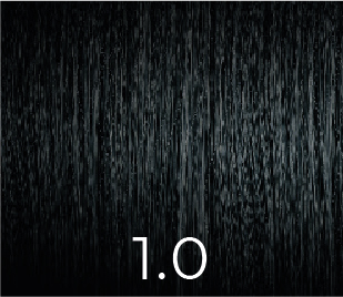 [10100] PPD & Ammonia Free Color 1.0  100ml